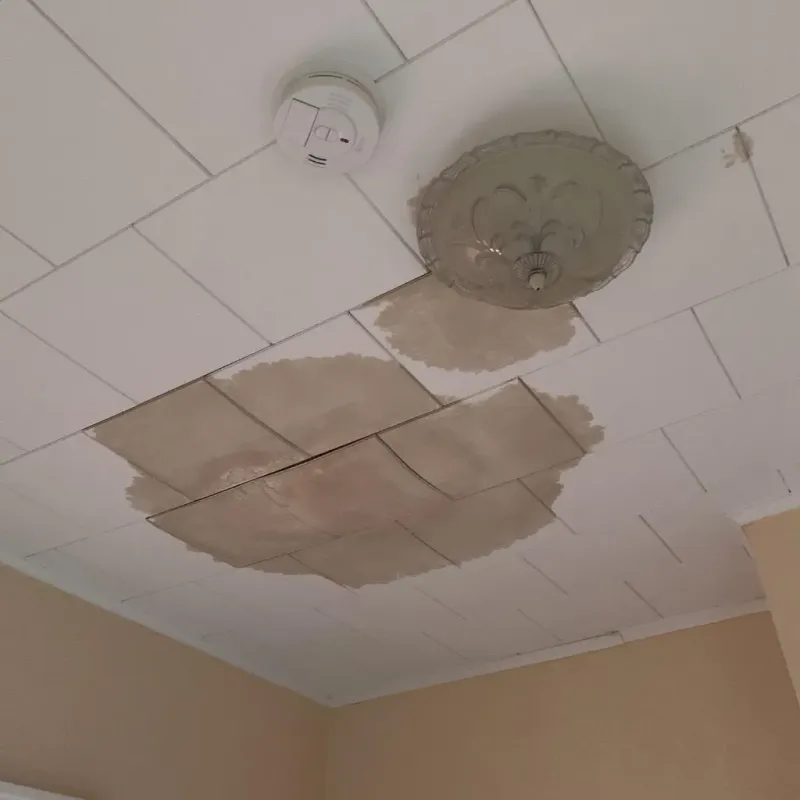 Ceiling Water Damage Repair in Dewey County, SD