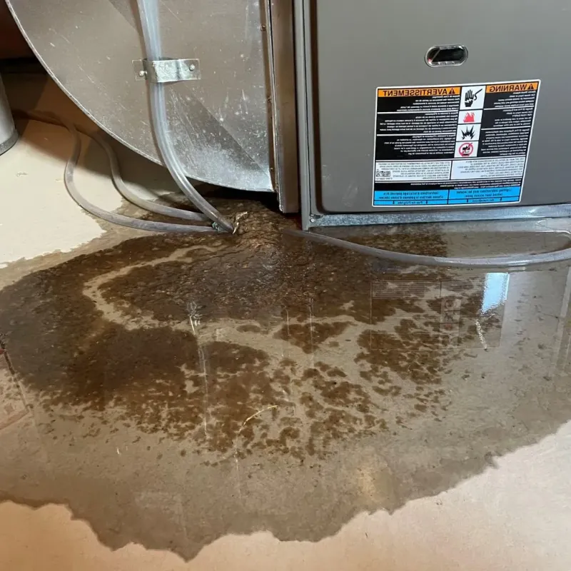 Pipe Burst and Leak Restoration in Dewey County, SD