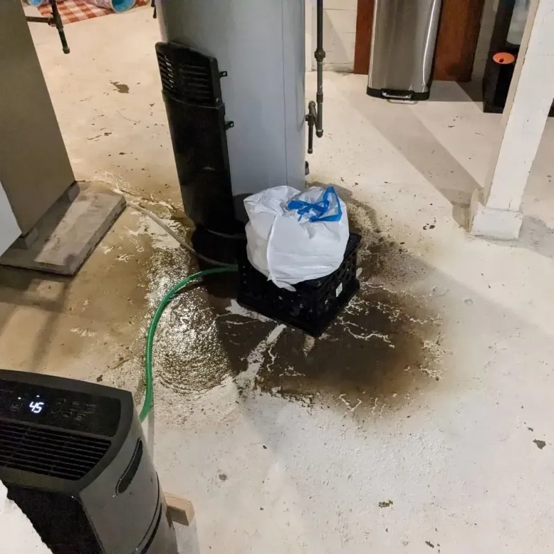 Sewage Backup Cleanup Service in Dewey County, SD
